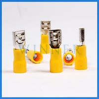 سرسیم فیشی کولری مادگی 6